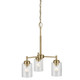 Winslow Three Light Mini Chandelier (44029NBR)