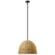 Kichler - 44399BK - One Light Mini Pendant - Raffiana - Black