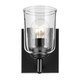 Shailene One Light Wall Sconce (45572BKCLR)