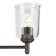 Shailene One Light Wall Sconce (45572OZCLR)