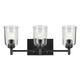 Shailene Three Light Bath (45574BKCLR)