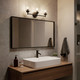 Winslow Three Light Bath (45886BK)