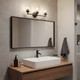Winslow Three Light Bath (45886BK)
