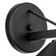 Ripley One Light Outdoor Wall Mount (49059BK)