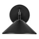 Ripley One Light Outdoor Wall Mount (49059BK)