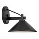 Ripley One Light Outdoor Wall Mount (49059BK)