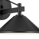 Ripley One Light Outdoor Wall Mount (49060BK)