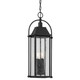 Harbor Row Four Light Outdoor Pendant (49718BKT)