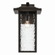 Capanna One Light Outdoor Wall Mount (49928OZ)