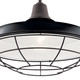Pier One Light Outdoor Pendant/Semi Flush (49993BK)