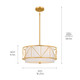 Birkleigh Three Light Pendant/Semi Flush (52075CLG)