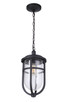 Voyage One Light Outdoor Pendant (ZA4721-MN)
