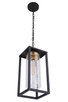 Neo One Light Outdoor Pendant (ZA4821-MNSB)