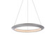 manufacturer_finish:Brushed Aluminum|light_output:1881.00lm|color_temperature:2700K