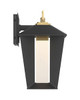 Andson LED Wall Sconce (50047-017)