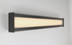 Dulton LED Wall Sconce (50113-019)