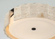 Roslington LED Flush Mount (50204-021)