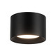 manufacturer_finish:Black
