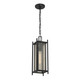 Jacobs One Light Outdoor Hanging Lantern (5-3806-BK)
