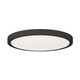 LED Flush Mount (6-3333-15-BK)