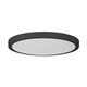 LED Flush Mount (6-3333-15-BK)