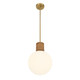 Jarrell One Light Pendant (7-4082-1-322)