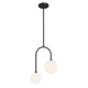 Chester Two Light Pendant (7-5981-2-89)
