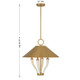 Hearne Four Light Pendant (7-6308-4-322)