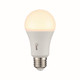 Light Bulb (LA1A19P9CE26D)