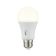 Light Bulb (LA1A19P9CE26D)