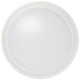 LED Disk Light (62-1811)