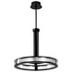 Nuvo Lighting - 62-2003 - LED Pendant - Darrow - Matte Black