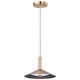 Nuvo Lighting - 62-2091 - LED Pendant - Corrine - Burnished Brass
