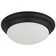 Nuvo Lighting - 62-687 - LED Flush Mount - Matte Black