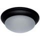 LED Flush Mount (62-689)