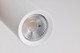 Century LED Pendant (62-817)