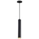 Nuvo Lighting - 62-818 - LED Pendant - Century - Matte Black / Brushed Brass
