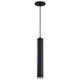 Nuvo Lighting - 62-819 - LED Pendant - Century - Matte Black / Brushed Nickel