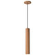 Century LED Pendant (62-820)