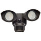 LED Dual Head Security Light (65-219)