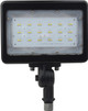 LED Flood Light (65-536R1)