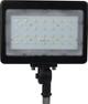 LED Flood Light (65-537)