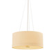 Ashland Four Light Pendant (8923-AGB)