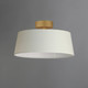 Paramount LED Flush Mount (10330OFNAB)