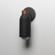 Pompeii One Light Wall Sconce (10621LVBK)