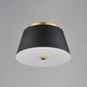 Miles LED Flush Mount (10710WTBKNAB)