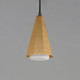 Rizzo One Light Pendant (10811SWBKAB)