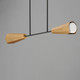 Rizzo Two Light Linear Pendant (10816SWBKAB)