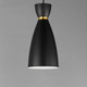 Carillon One Light Mini Pendant (11301BKSBR)