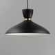 Carillon One Light Pendant (11304BKSBR)